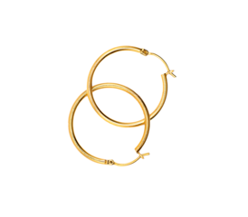 two hoop earrings on a transparent background 