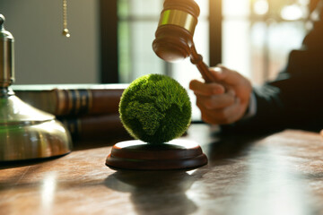 Hand of jude is hitting on earth with wooden gavel, Environmental law and international agreement...