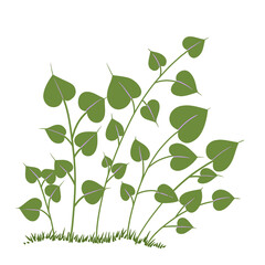 colorful wildflowers and plants illustration