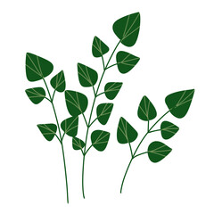 colorful wildflowers and plants illustration