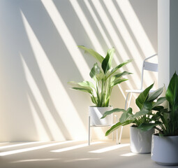 Sunlight, Beautiful indoor plants,  growing in the sunlight, in a of light-filled space