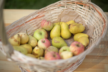 Pears and apples in basket. Wicker basket. Ripe fruits.