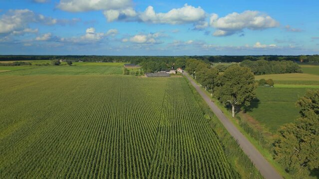 Descending above field crop in Dutch agricultural meadow with vertical lines