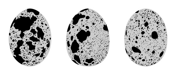 Three fresh quail eggs isolated on white background, monochrome vector illustration