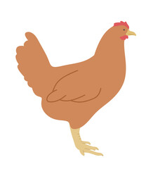 hen clipart