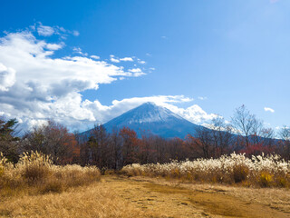 Fototapeta premium Overlooking at snow-capped Mt Fuji from a mountain in autumn colour (Fujikawaguchiko, Yamanashi, Japan)