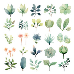 Obraz premium Set of cute floral elements. Flower and green leaves. Wedding concept - flowers. Floral poster, invite. Vector arrangements for greeting card or invitation design