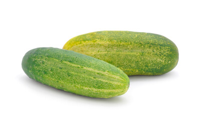 Organic fresh cucumber.