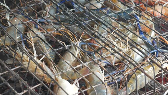 Blue live river prawn in cage grilled on hot charcoal
