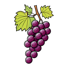 bunch of grapes isolated on white