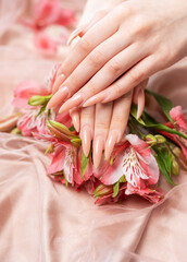 Elegant pastel pink natural manicure.