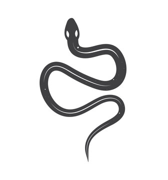 Esoteric Snake Icon