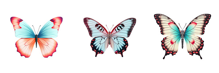 Fototapeta premium black butterfly transparent background