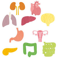 かわいいタッチの臓器イラストセット