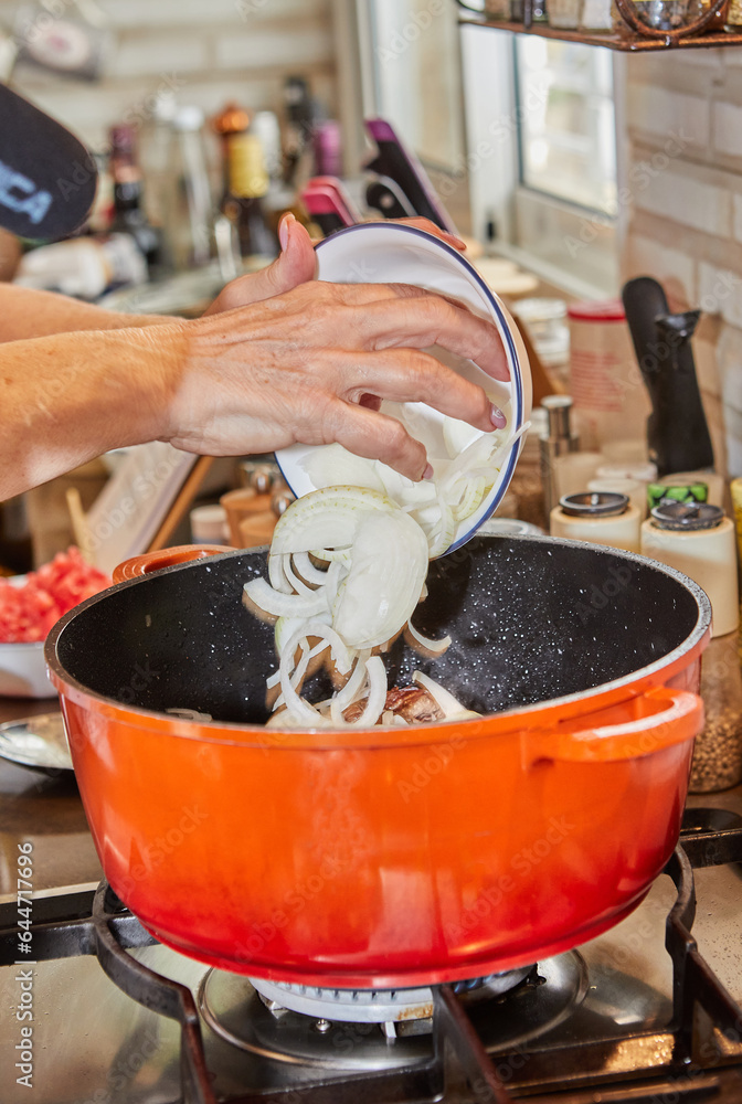 Poster Chef puts chopped onions into a pot on gas stove