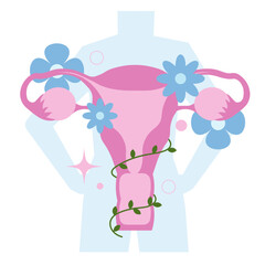 healthy flourish fertile uterus ovaries in flat illustration