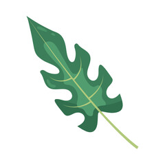 leaf exotic plant icon