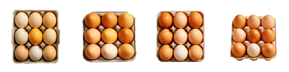 Ten eggs in a box on a transparent background with a yellow hue