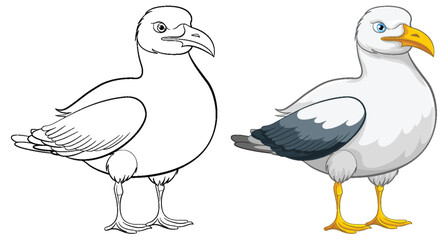 Seagull Bird Outline