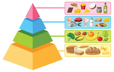 Cartoon Food Pyramid Infographic: A Visual Guide