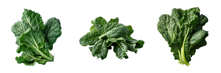 Bunch of organic collard greens on a transparent background promoting raw green nutrition