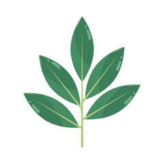 leaves on white background icon