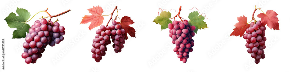 Canvas Prints Red grapes separated on transparent background