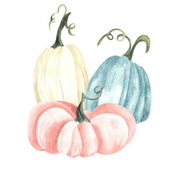 Watercolor pumpkin composition, floral pumpkins, Halloween clip art, autumn design elements, fall arrangement of blue, pink and white pumpkins. Harvest illustration isolated on white background