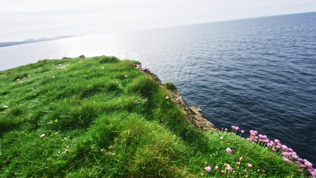 Point of view of man picking flower and looking out at ocean.  Dun Briste Sea Stack