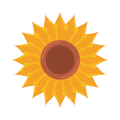sunflower nature icon