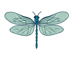 Dragonfly, doodle  vector illustration