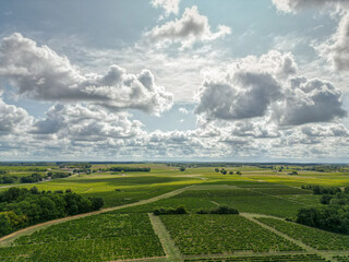Aerial view Bordeaux Vineyard at sunrise, Entre deux mers, Gironde. High quality photo