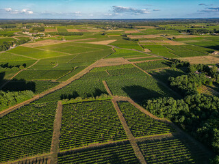 Aerial view Bordeaux Vineyard at sunrise, Entre deux mers, Gironde. High quality photo