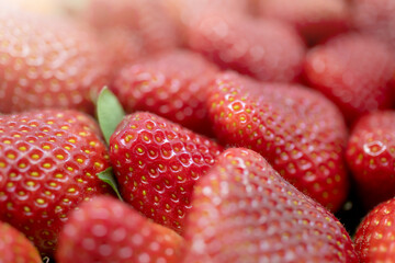 Red ripe strawberries background. Close up, top view. - 644725644