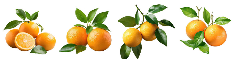 Ripe oranges with green leaves transparent background