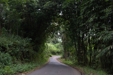 Kuningan West Java, the scenery is so beautiful and cool with lush trees that are still green 