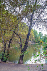 Park pond on a cloudy autumn day