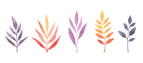 Fototapeta na wymiar A set of watercolor autumn multicolored leaves isolated on a white background painted by hand. Botanical elements for the holiday, decoration and design. The texture of watercolors. Seasonal leaf fall