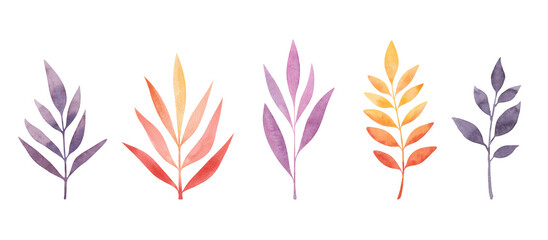 A set of watercolor autumn multicolored leaves isolated on a white background painted by hand. Botanical elements for the holiday, decoration and design. The texture of watercolors. Seasonal leaf fall