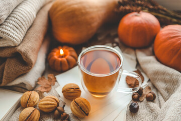 Fototapeta na wymiar A cup of tea and nuts with condensed milk in an autumn interior