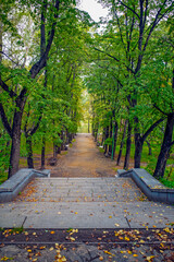 An empty park alley on an autumn day