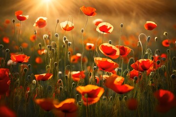 A vibrant, sunlit field of blooming poppies, their petals fluttering in the gentle breeze. 