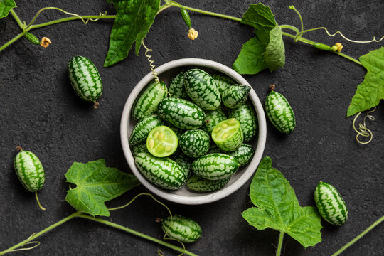 Fresh organic melothria scabra or sour gherkin, mouse watermelon, mini cucumber on black background. Healthy food. Organic vegetables. Top view.