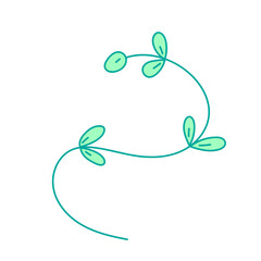 tiny plant liana hand drawn 