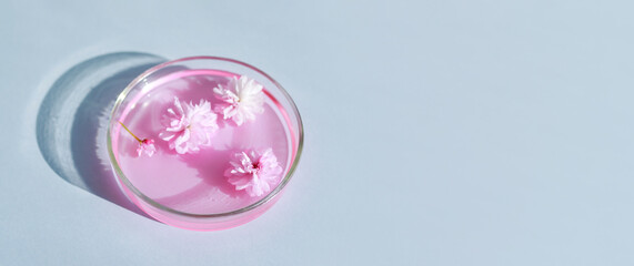 petri dishes on light background cosmetic research concept