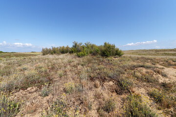 Nature reserve of the Point of the Aiguillon bay 	