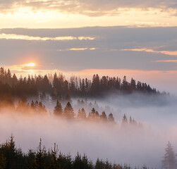 Fototapeta premium Morning fog on the slopes of the Carpathian Mountains (Ivano-Frankivsk oblast, Ukraine).