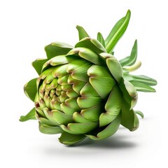 Fototapeta premium artichokes isolated on white background