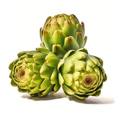 Obraz premium artichokes isolated on white background