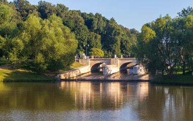 Fototapeta na wymiar Shot of the bridge over the pond in the park. City